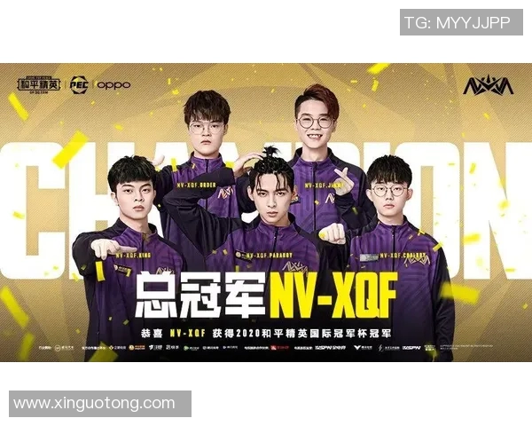 和平精英盛宴：深入探讨IG战队的极速战术与团队协作