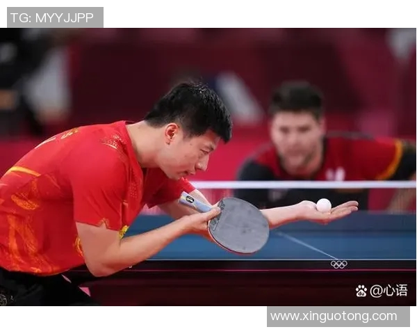 权威发布：全面解析羽毛球比赛选手实力与经验排行榜