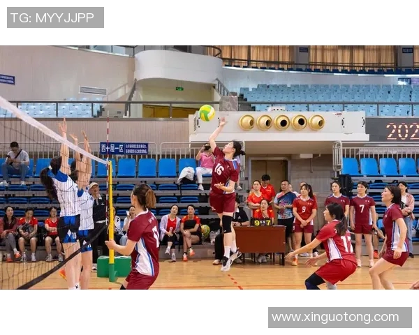 排球巨献：深入分析武汉排球队员个人能力与团队协作的完美结合