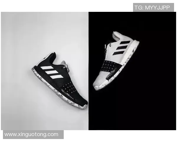 张伟独家分享羽毛球技巧与经验助你提升竞技水平与乐趣 张伟独家分享羽毛球技巧与经验助你提升竞技水平与乐趣